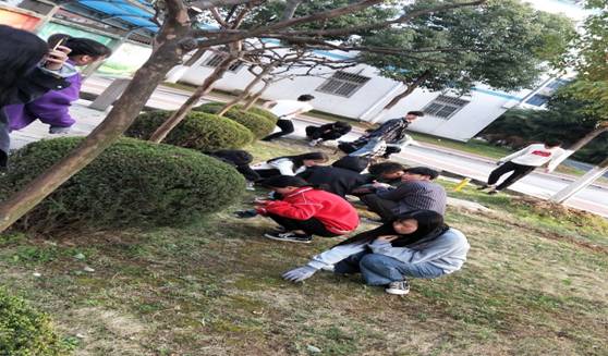 qq_pic_merged_1553073992229